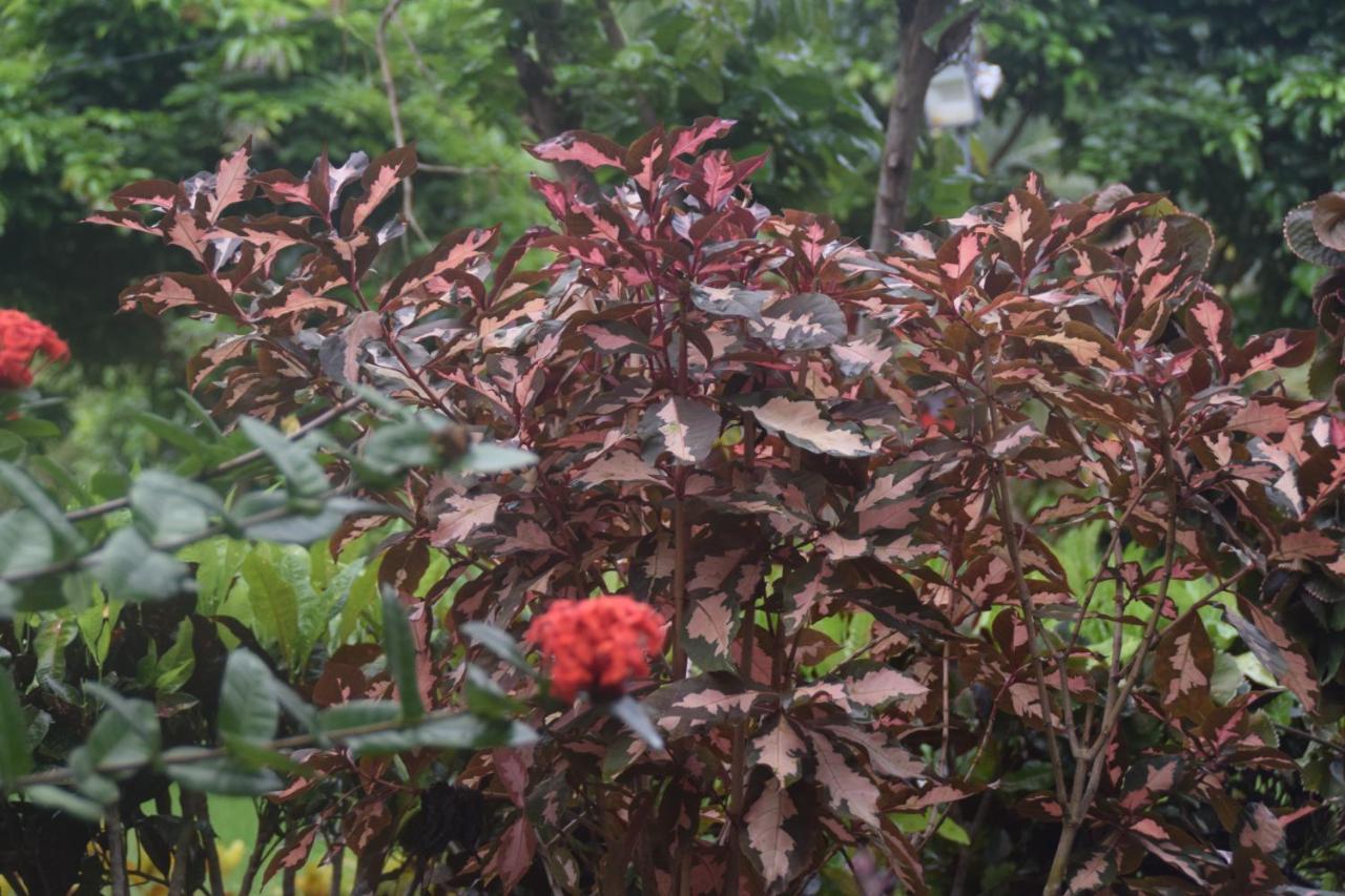Hotel Exotica Squares Lakshmanpur Bagian luar foto