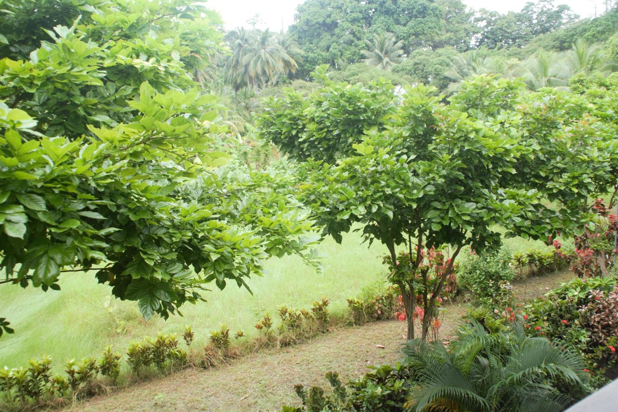 Hotel Exotica Squares Lakshmanpur Bagian luar foto